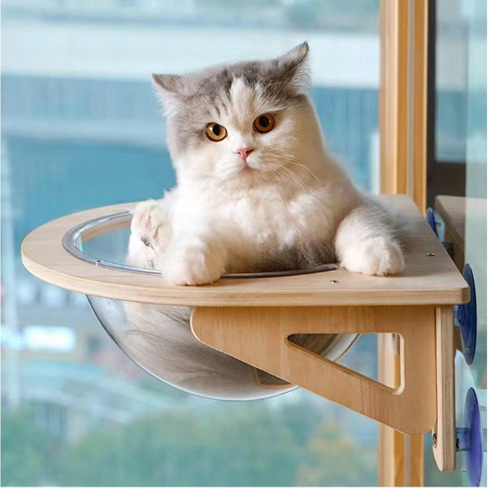 Прозрачный кошачий гамак, настенная бамбуковая мебель для кошек, настенные  полки для кошек для сна и отдыха - купить с доставкой по выгодным ценам в  интернет-магазине OZON (1324867455)