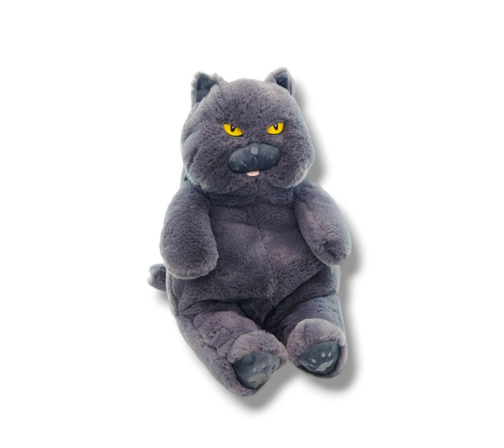 Мягкая игрушка Британский серый Кот 25 см - купить с доставкой по выгодным  ценам в интернет-магазине OZON (1099911537)