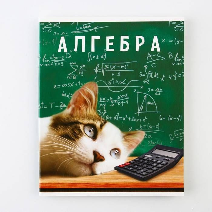 Тетрадь предметная ArtFox STUDY Милые питомцы - Алгебра, 48 листов, на скобе, А5, 1 шт.  #1