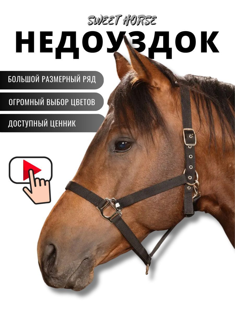 Sweethorse / Недоуздок для лошади и пони FULL - купить с доставкой по ...