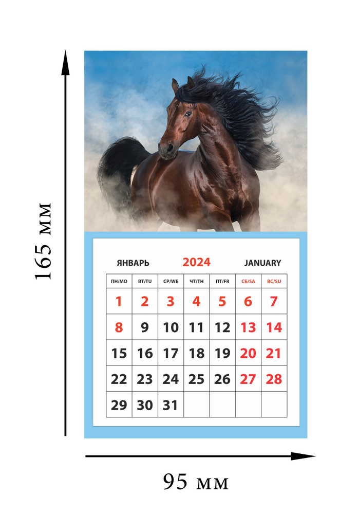 Календарь на магните отрывной (КР33) на 2024 год Лошадь КР33-24017 - купить  с доставкой по выгодным ценам в интернет-магазине OZON (1358222333)