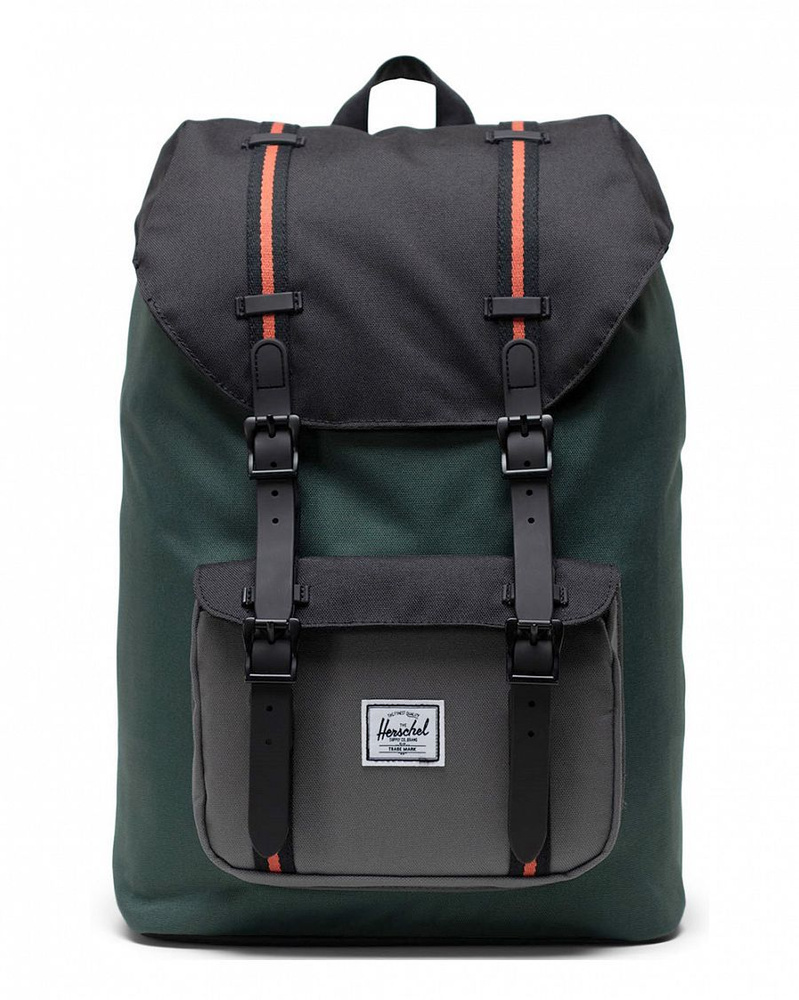 Рюкзак Herschel Little America Mid 10020 Garden Topiary #1