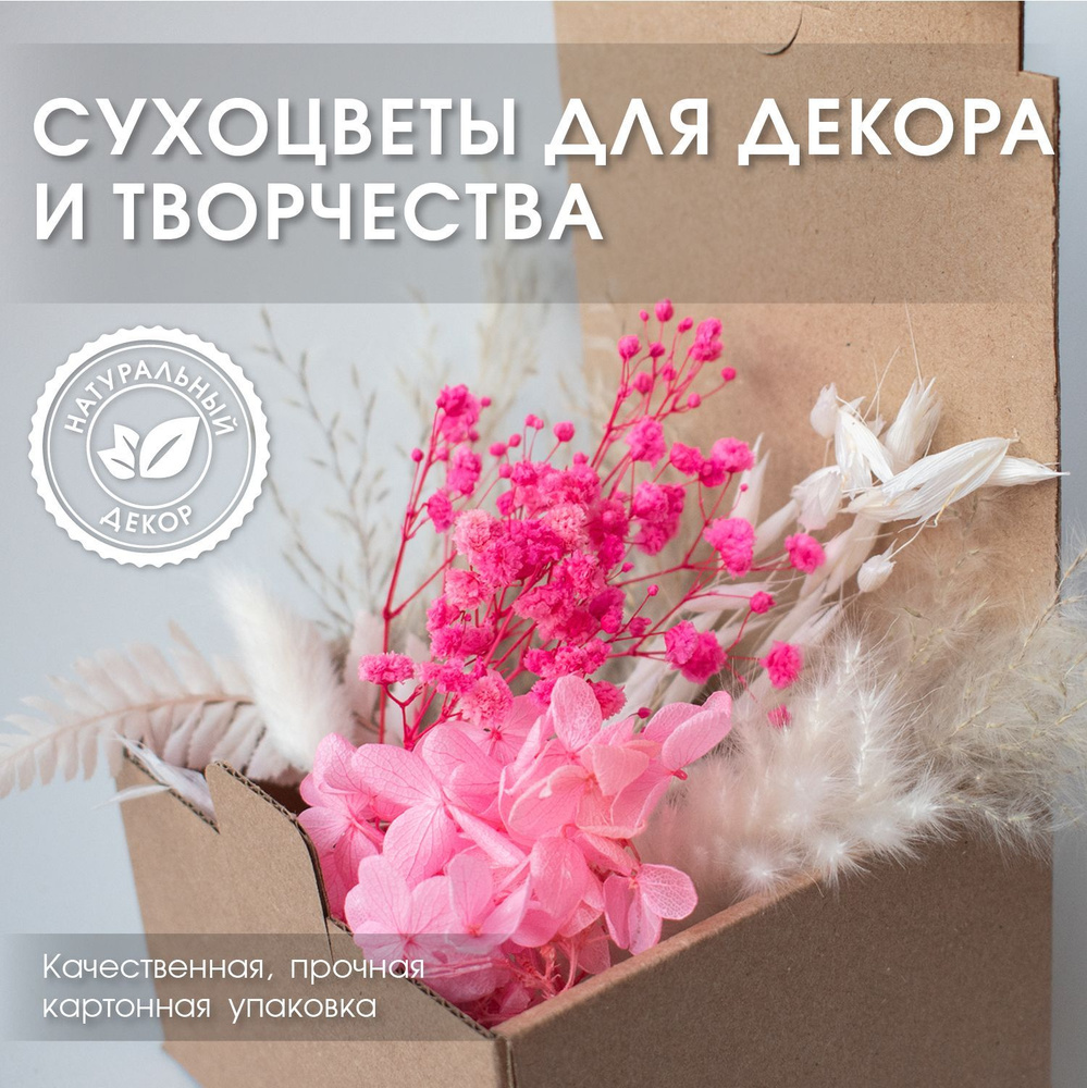 Сухоцветы ENiNE decor Лагурус, Гортензия, 10 см, 10 гр купить по выгодной  цене в интернет-магазине OZON (1132220895)