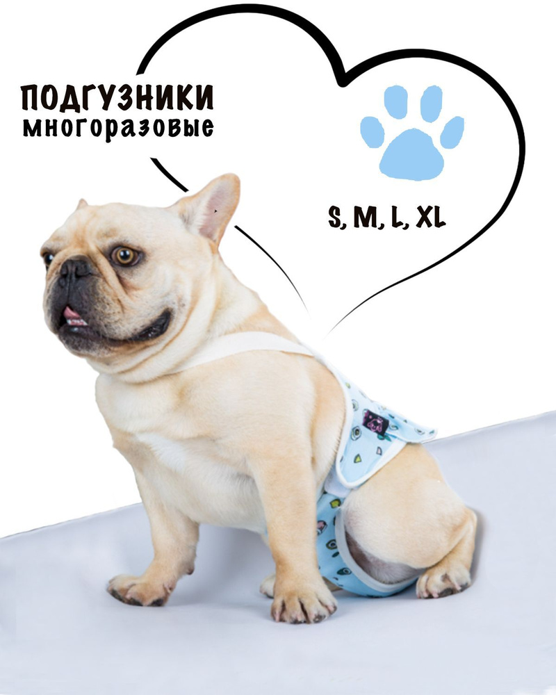 Многоразовые трусы для собак во время течки, памперсы, подгузники для  животных - купить с доставкой по выгодным ценам в интернет-магазине OZON  (606634076)