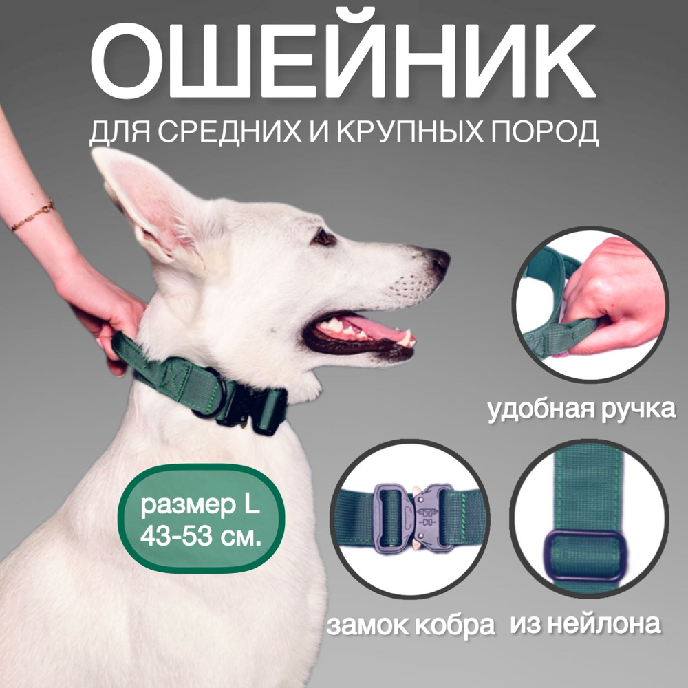 Регулируемый ошейник для собак средних и крупных пород DOG PARTS ...