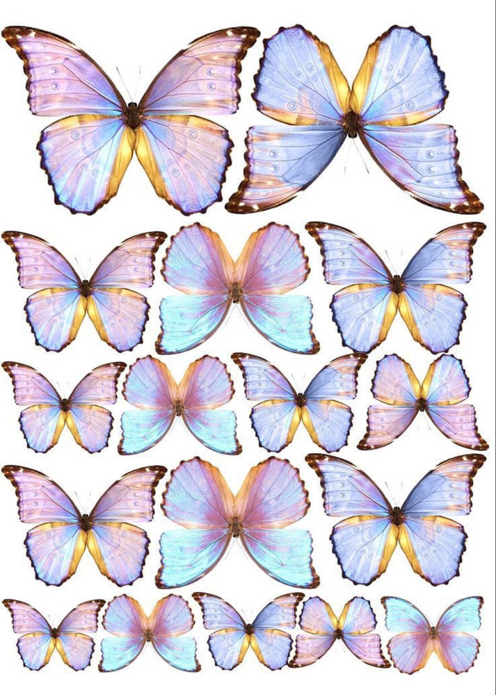 Бабочки для букета - купить с доставкой по выгодным ценам в интернет ...