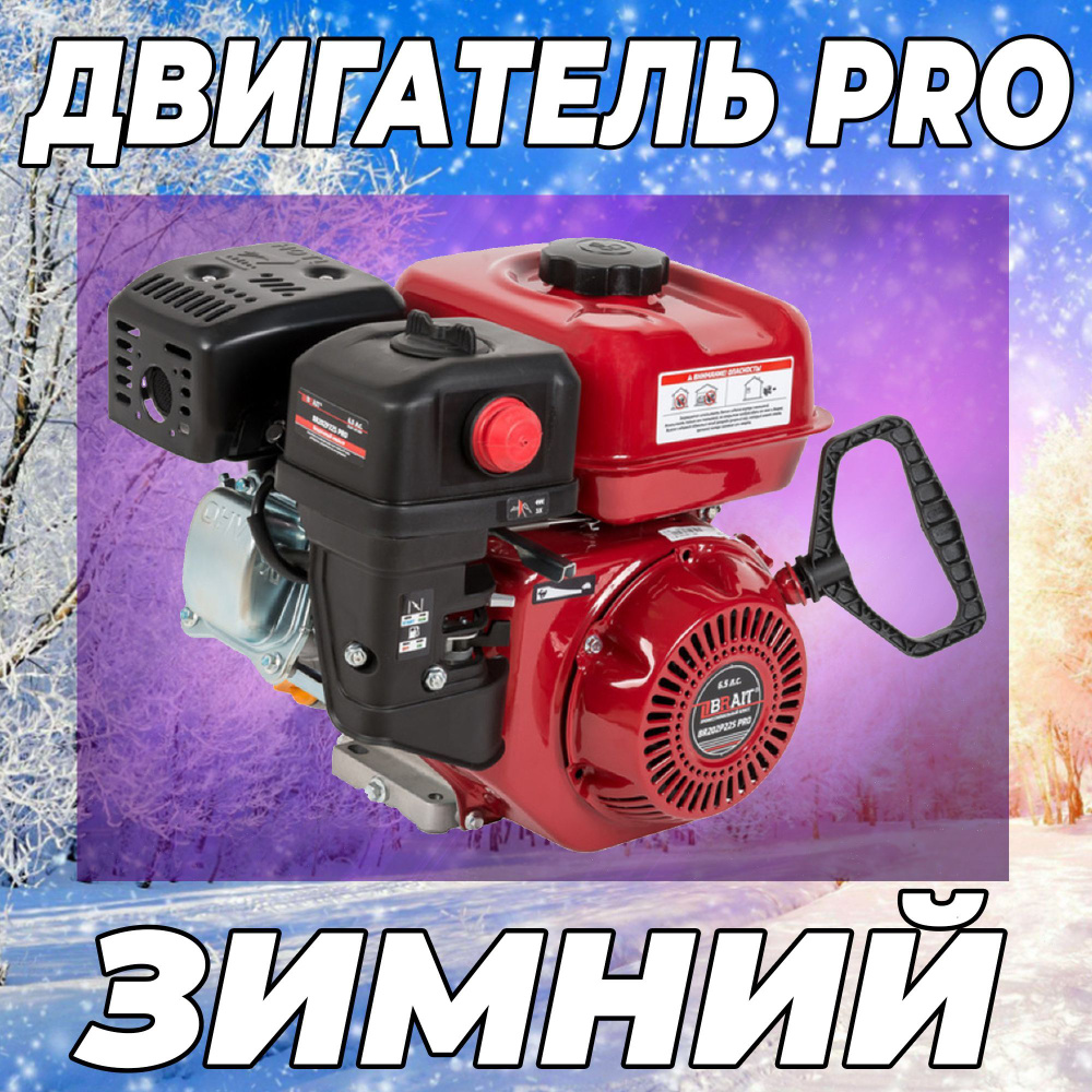 Двигатель Зимний Бензиновый для мототехники BR202P22S PRO (6,5л.с., 19мм) -  купить с доставкой по выгодным ценам в интернет-магазине OZON (1189077632)