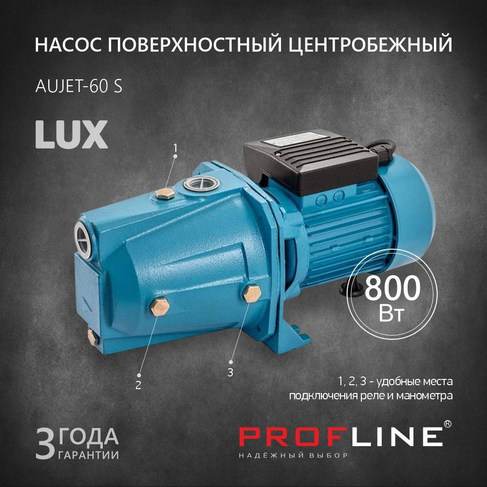 Садовый насос PROFLINE 41932 - купить по выгодной цене в интернет-магазине  OZON (1077114111)