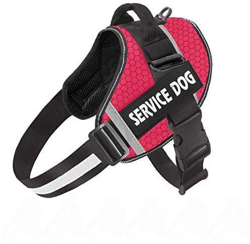 SERVICE DOG 46 62 OZON 1222684573