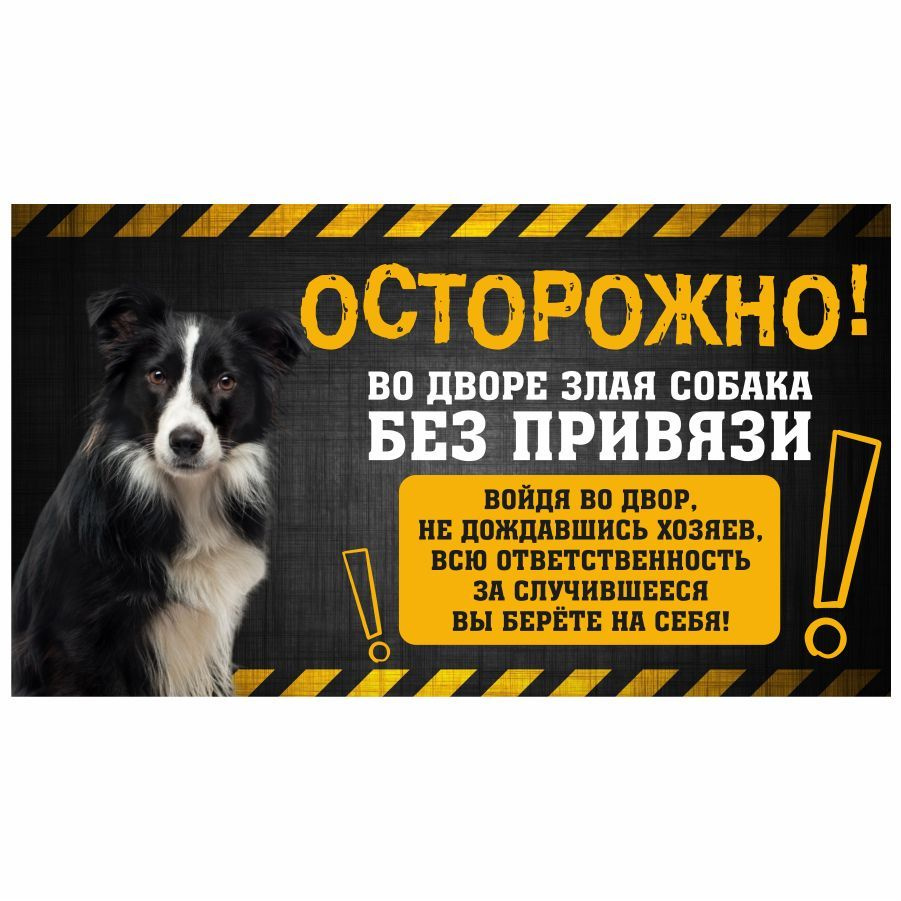 Табличка, с юмором, прикол, DANGER DOG, Осторожно! Во дворе собака без привязи, Бордер-колли, 25x14 см #1