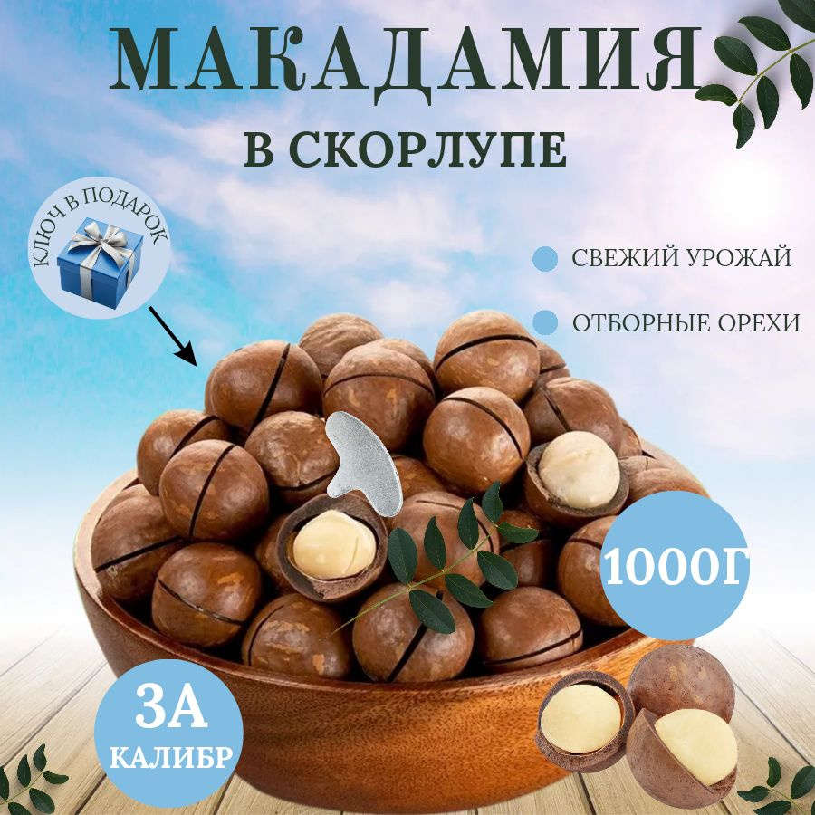 Орех макадамия орех (ключ в комплекте)/ Sofnuts - купить с доставкой по ...