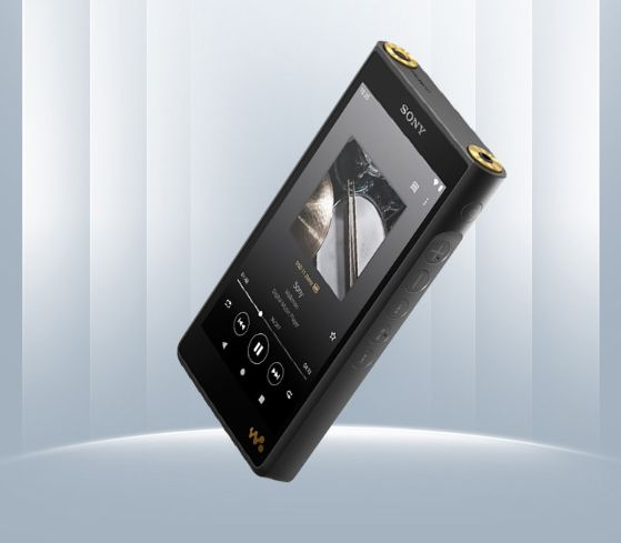 MP3-плеер Sony NW-WM1AM2, 128 ГБ купить по выгодной цене в интернет ...