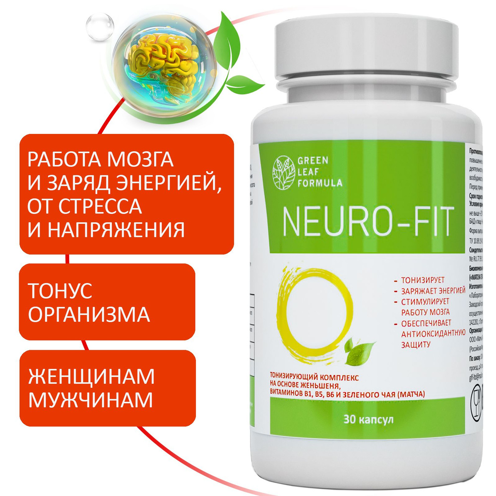 NEURO-FIT витамины для мозга и нервной системы, для памяти, L-теанин матча  чай и женьшень капсулы, для энергии и от стресса витамины - купить с  доставкой по выгодным ценам в интернет-магазине OZON (1109123502)