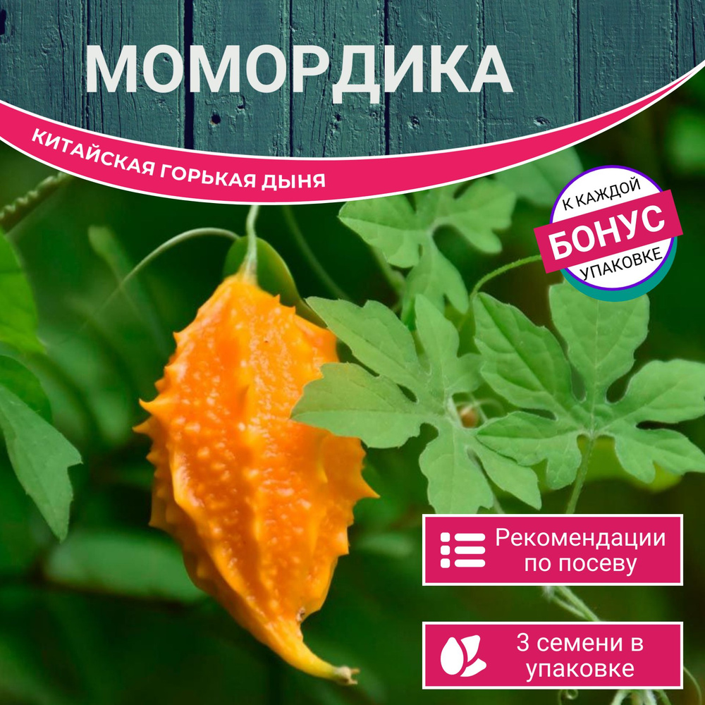 Миджет пен транни порно