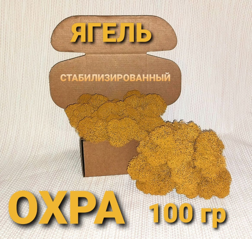 Стабилизированный мох, 100 гр #1