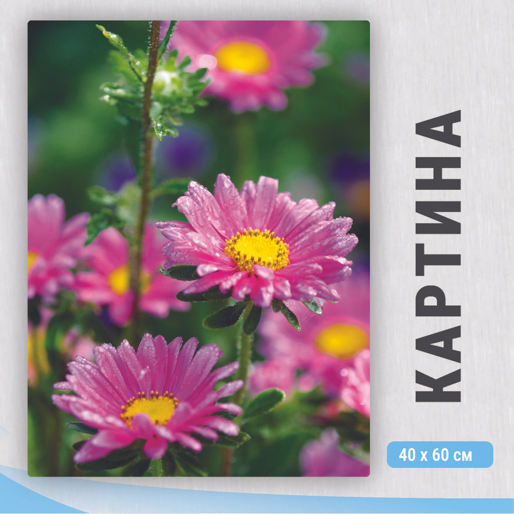Картина на холсте Астры_/ декор и стилизация интерьера квартиры, дома, офиса / 40см-60см. #1