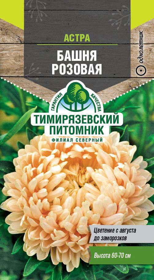 Семена Тимирязевский питомник цветы астра Башня розовая (пионовидная) 0,2г  #1