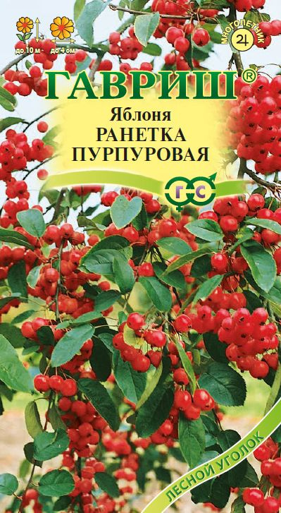 Яблоня Ранетка пурпуровая 0,1 г #1