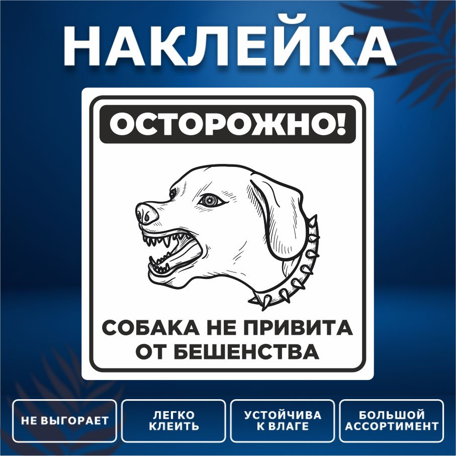 Наклейка, на забор, на дверь, ИНФОМАГ, Осторожно злая собака, 15см х 15см  #1