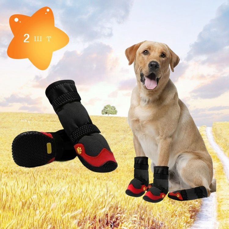 Теплые ботинки для собак с длинными рукавами, подходящие для активного ...