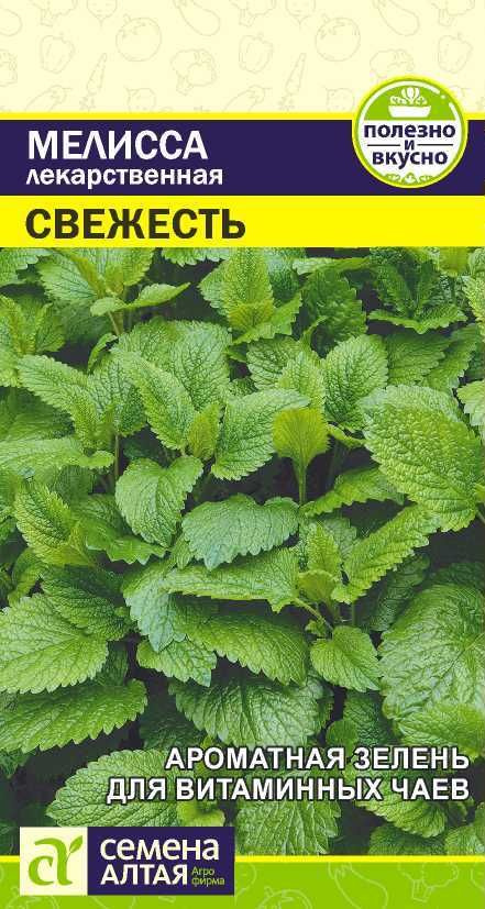 Мелисса "Свежесть лекарственная" семена Алтая для открытого грунта и теплиц, 0,1 гр  #1