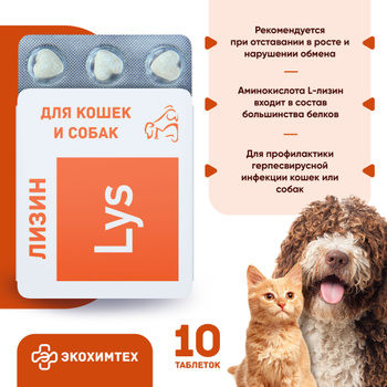 Противовирусные Препараты для Кошек – купить в интернет-магазине OZON по  низкой цене