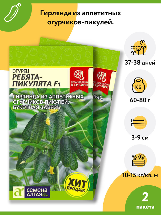 Огурец пучковый бум f1. Ребята пикулята. Огурец пучковое очарование f1 10шт ц/п аэлита. Огурец пучковый бум f1 семена алтая. Ребята пикулята.