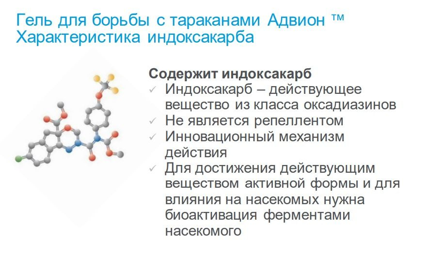 Текстовое описание изображения