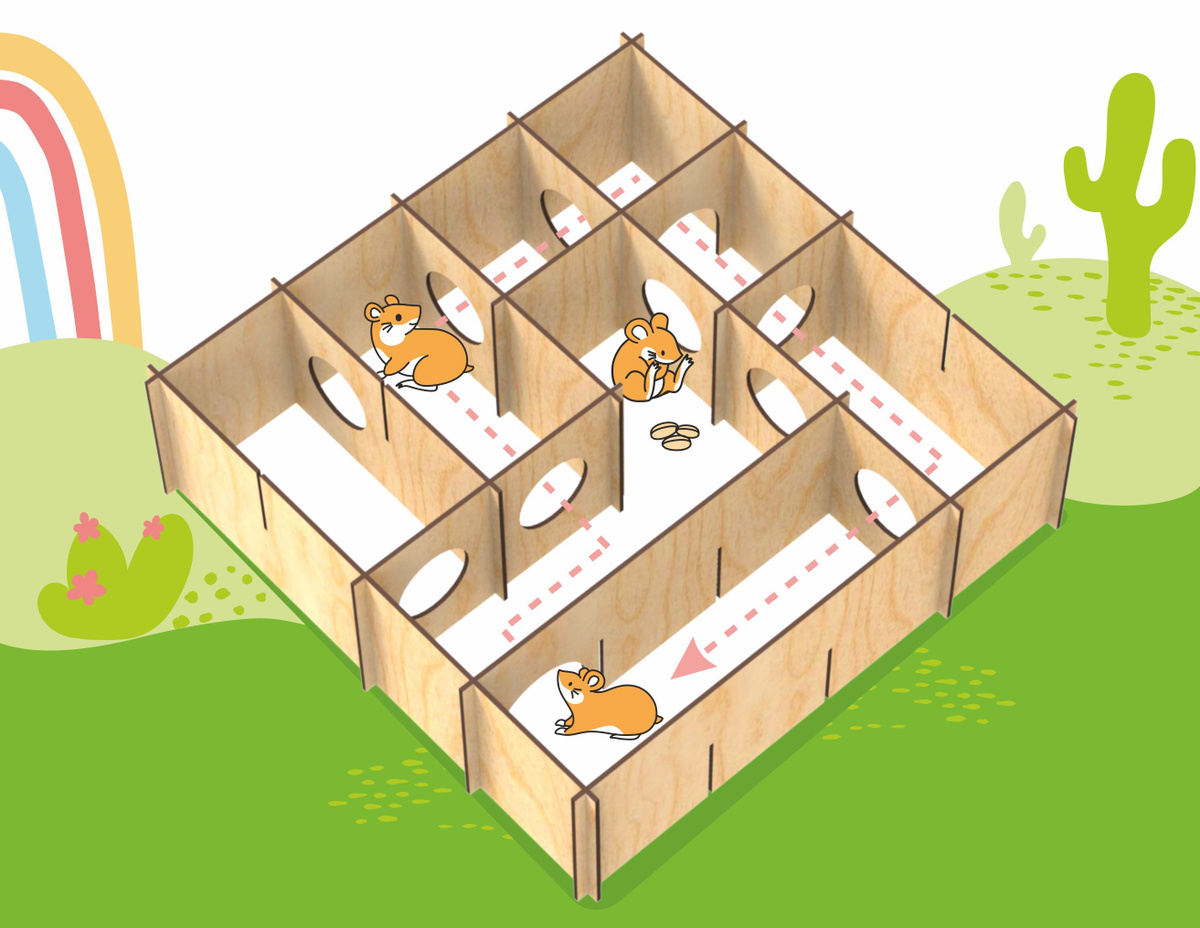 Игрушка для грызунов WOODY Лабиринт деревянный для дрессировки с ...