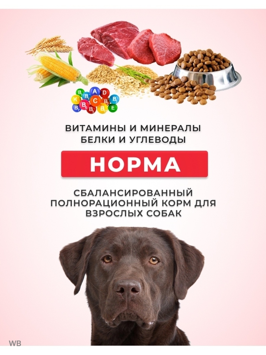 Корм для собак сухой НОРМА для крупных и средних пород, 13 кг / собачий ...