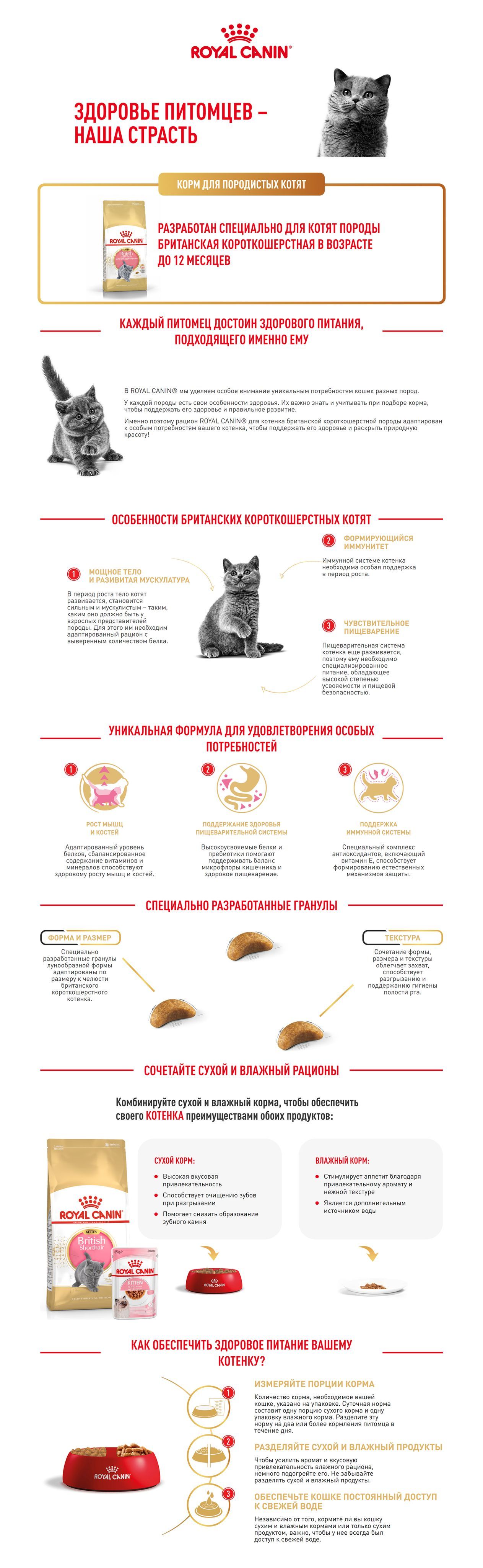 ROYAL CANIN MAINE COON KITTEN 36 для котят мэйн кун (2 кг) - купить с ...