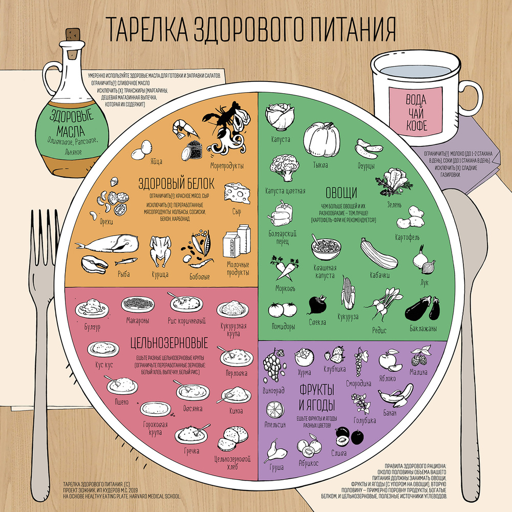Магнит на холодильник "Тарелка здорового питания" #1