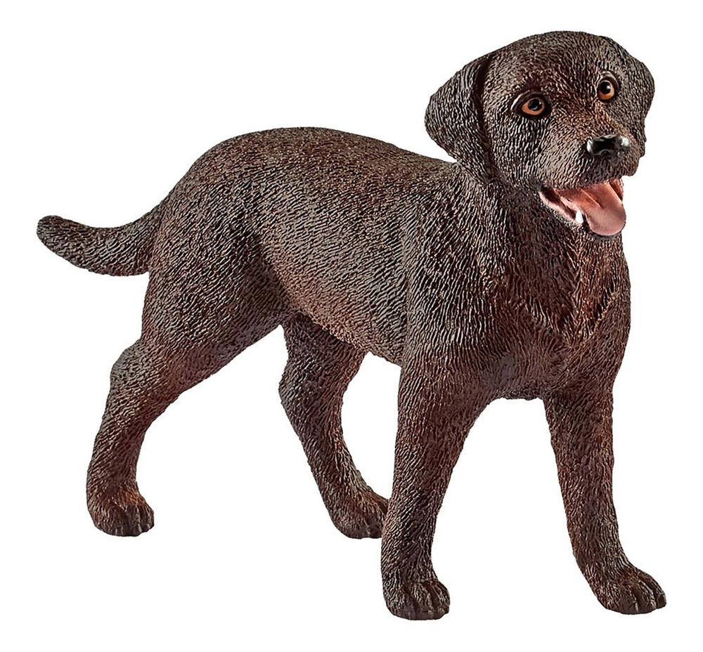 Schleich 13834 Фигурка собака Лабрадор самка - купить с доставкой по  выгодным ценам в интернет-магазине OZON (261560689)