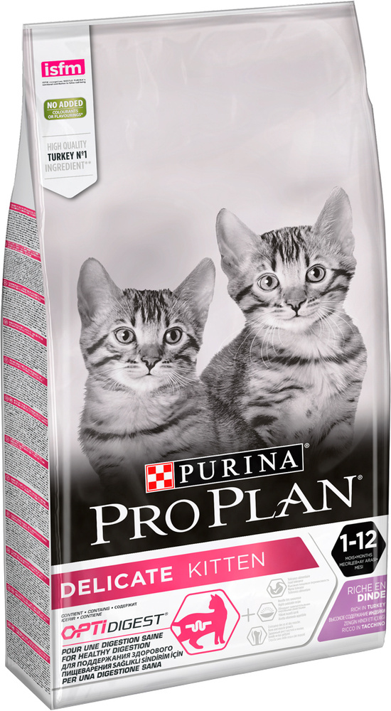 Kitten purina hot sale