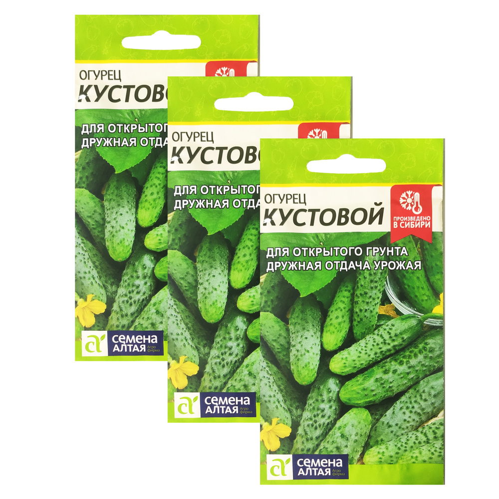 Кустовые огурцы для открытого грунта сорта с фото - купить по низкой цене на Янд