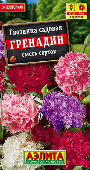 Семена Гвоздика садовая Гренадин, смесь окрасок (0,1г) - Аэлита #1