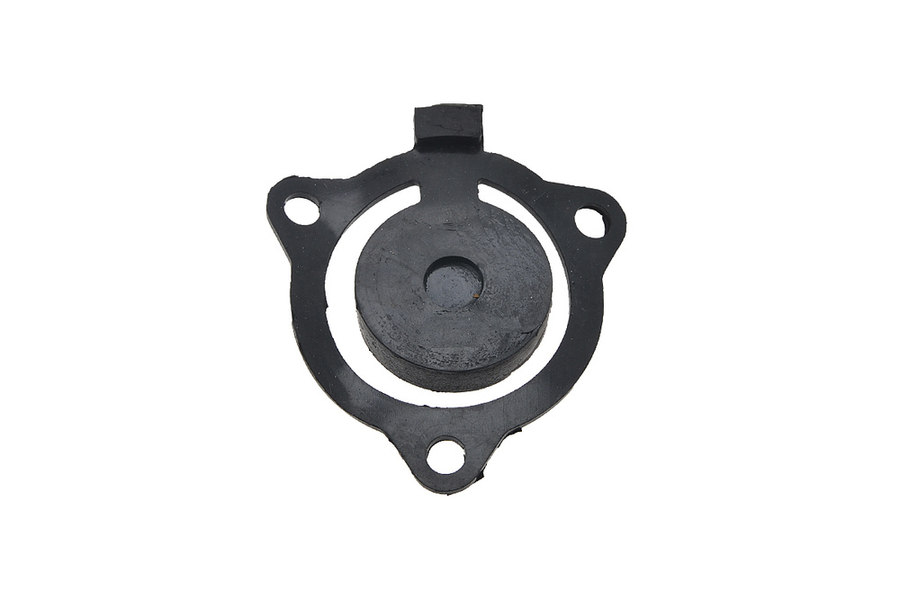 Клапан помпы для мотопомпы бензиновой CHAMPION (Чемпион) GP-27-II ...