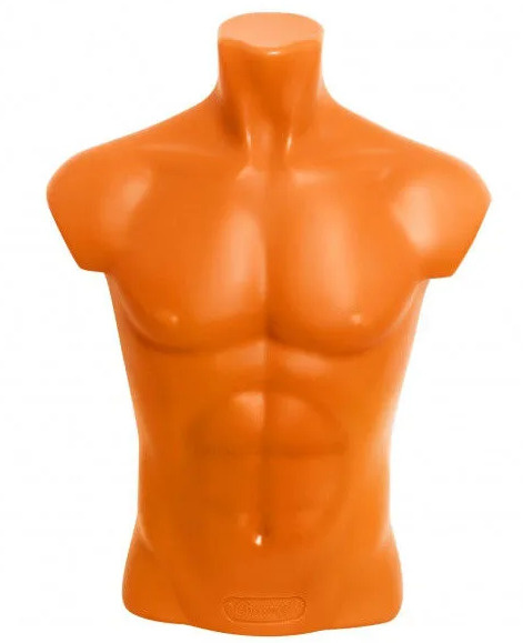 Манекен мужской, торс (бежевый) - купить с доставкой по выгодным ценам ...