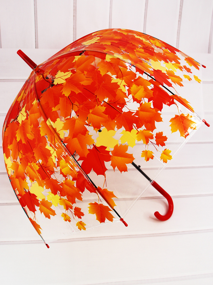Красный прозрачный зонт трость. Зонт трость Rainbrella. Зонт прозрачный (красный). Зонт трость красный с бахромой. Русский зонтик на русском языке
