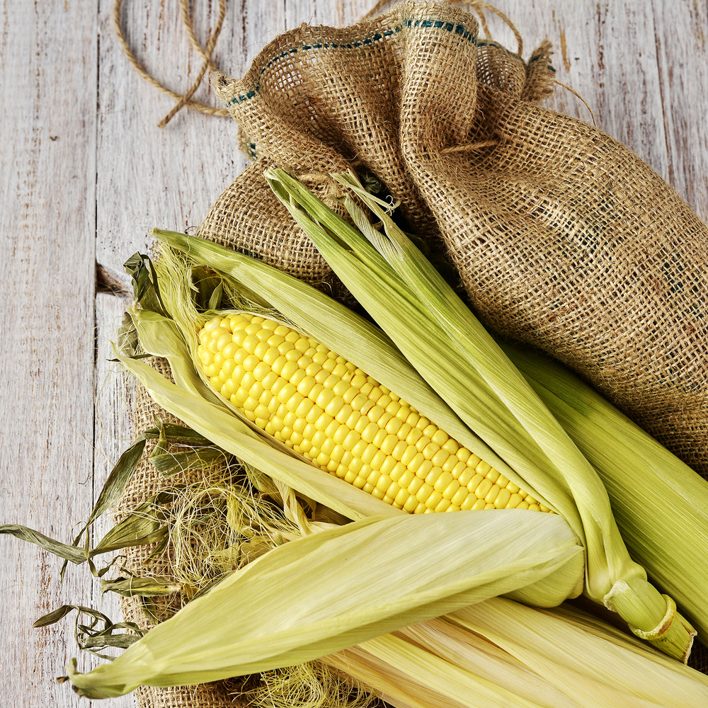Кукуруза в початках, 1 шт - купить с доставкой по выгодным ценам в ...