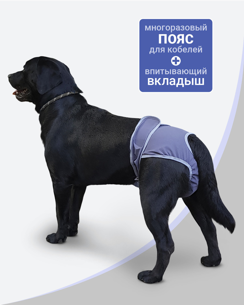 Штанишки для собак Trixie Protective Pants S, бежевый - Интернет зоомагазин taimyr-expo.ru