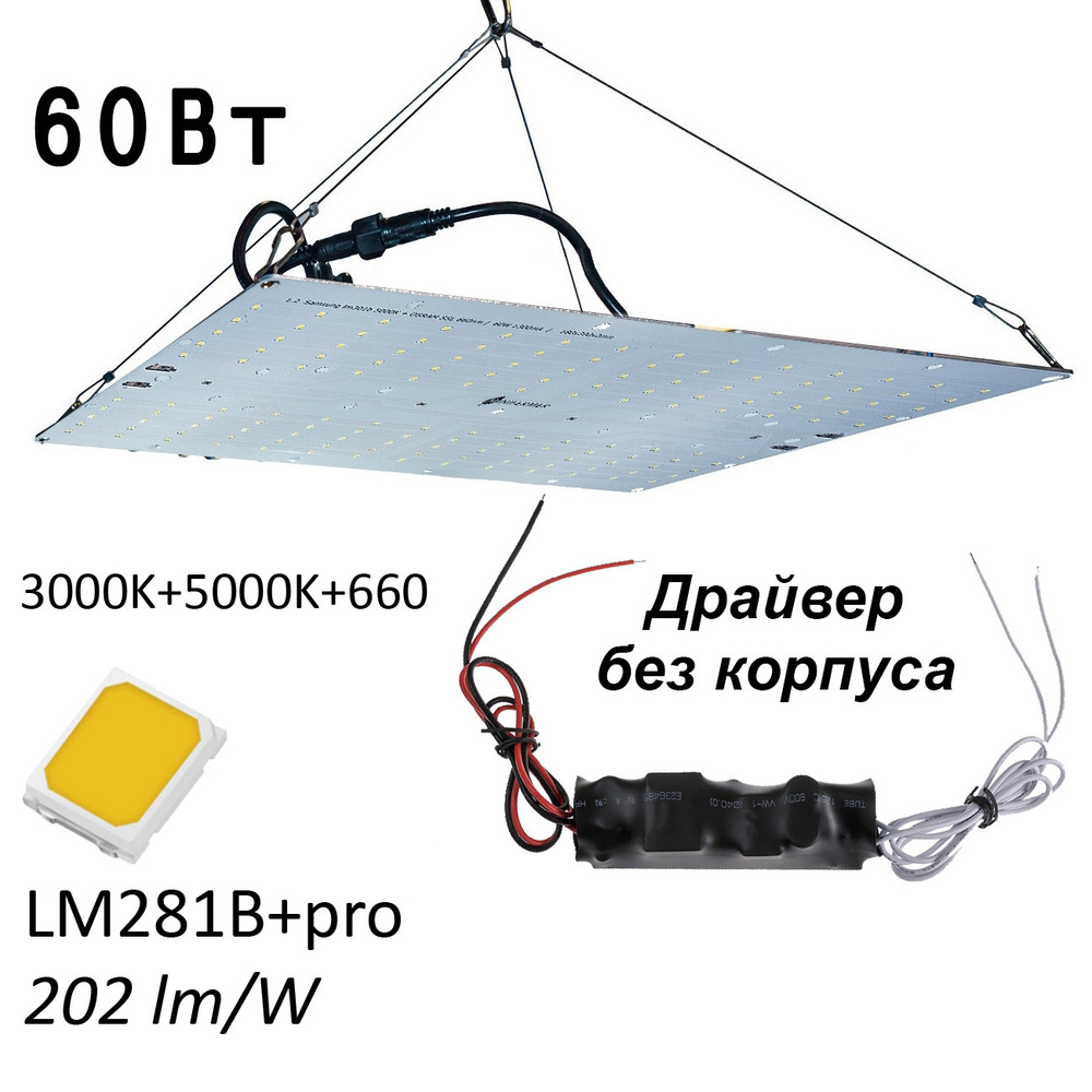 Квантум борд 1.9 Quantum board Samsung 2835 lm281b+pro 3000K + 5000K + smd  5050 660nm, 60Вт 18х39см эконом драйвер / фито светильник / фитолампа для  ...