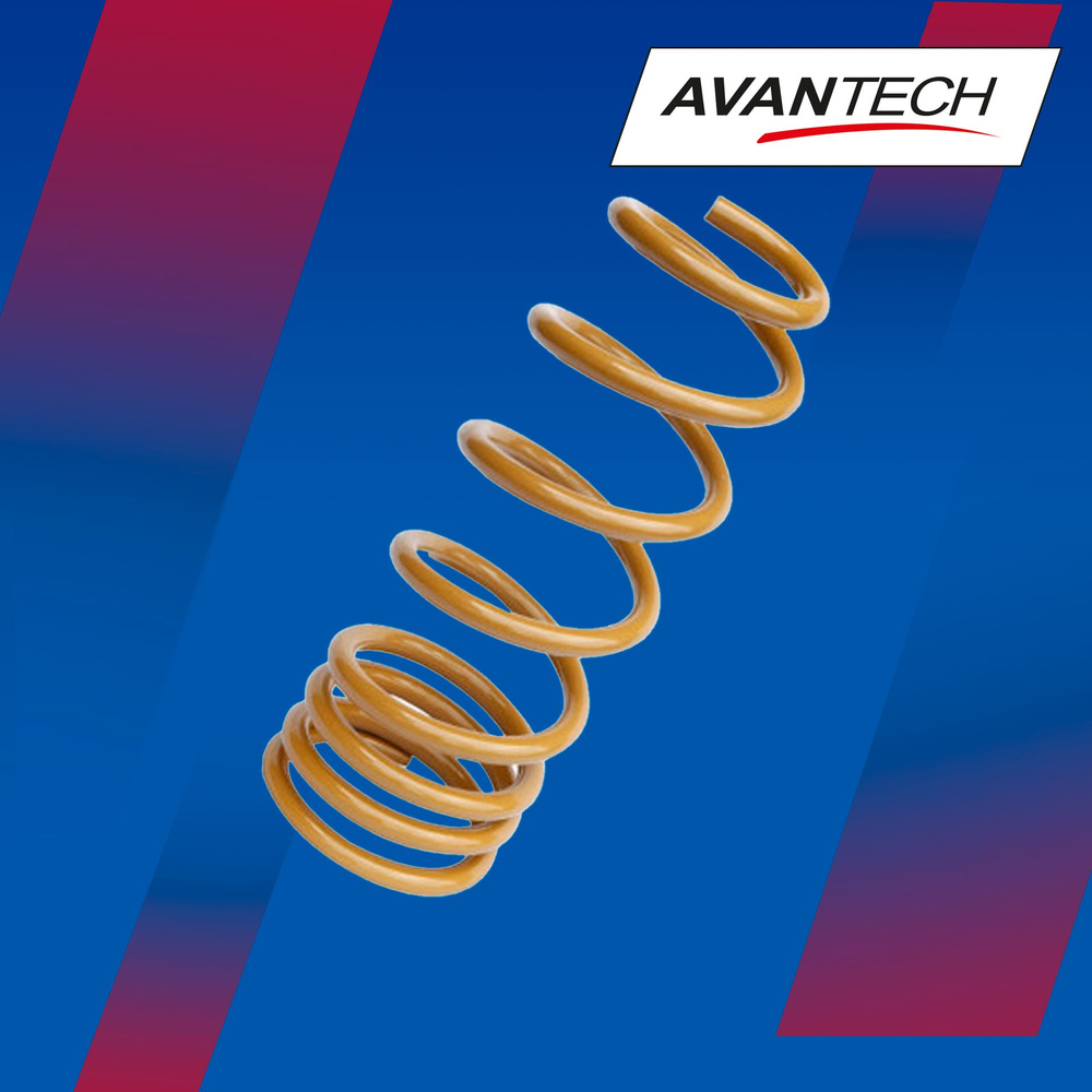 Комплект усиленных пружин подвески Avantech (2шт. в одной упаковке) арт ...