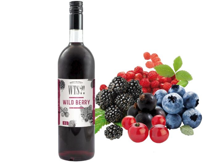 Сироп "WTS?!" WILD BERRY (Лесные ягоды), 1 л. #1