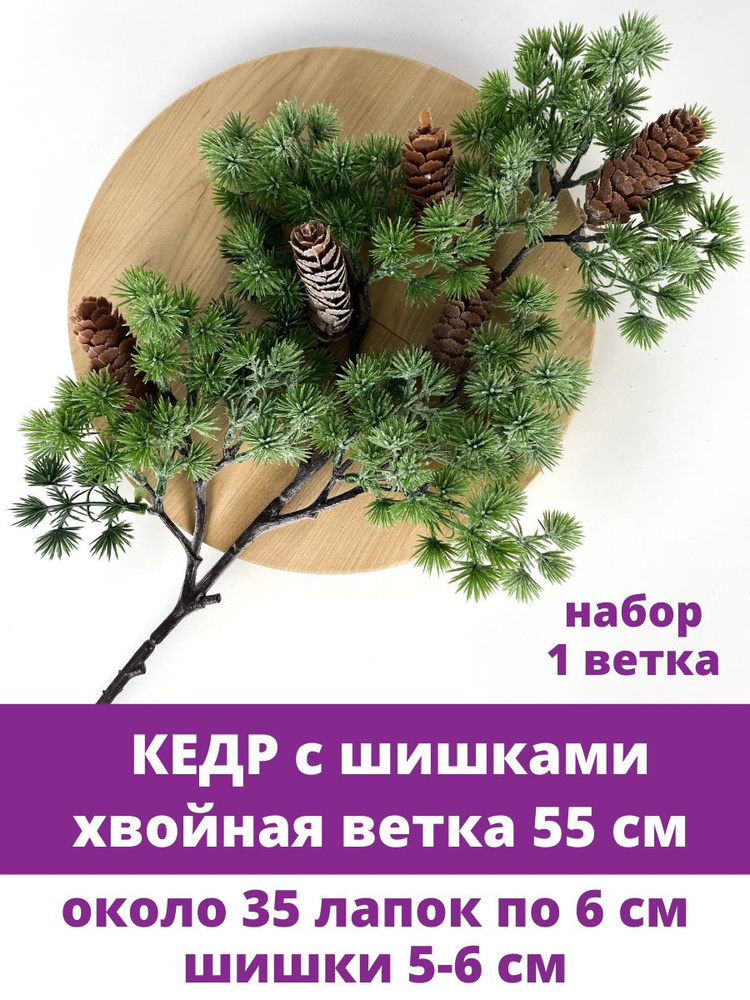 Еловая ветка Кедр, с шишками, 55 см, набор 1 шт #1