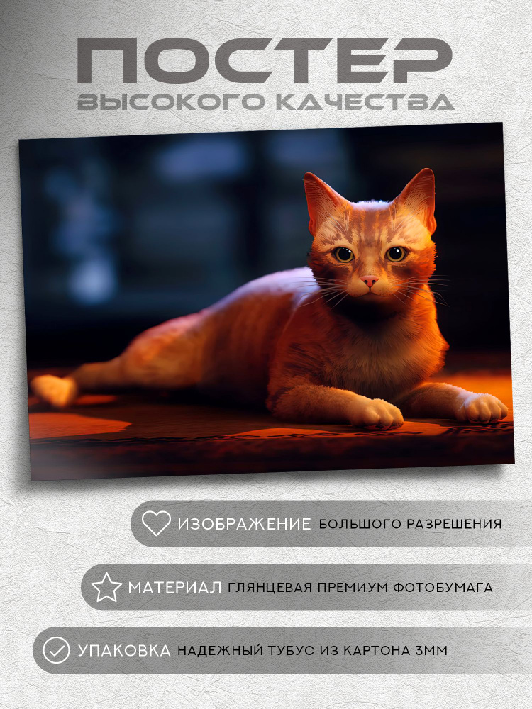 Постер Stray game #1