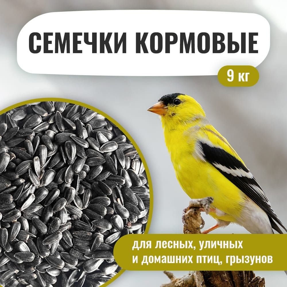 Семечки подсолнечника 9 кг. Сырые, неочищенные. Корм для лесных уличных и  домашних птиц, грызунов. - купить с доставкой по выгодным ценам в  интернет-магазине OZON (737803219)