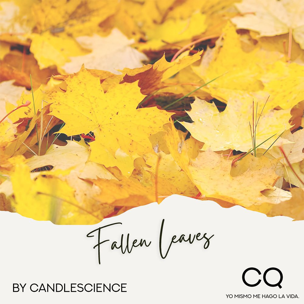 Ароматическая отдушка CandleScience Опавшие Листья, 10 грамм — купить
