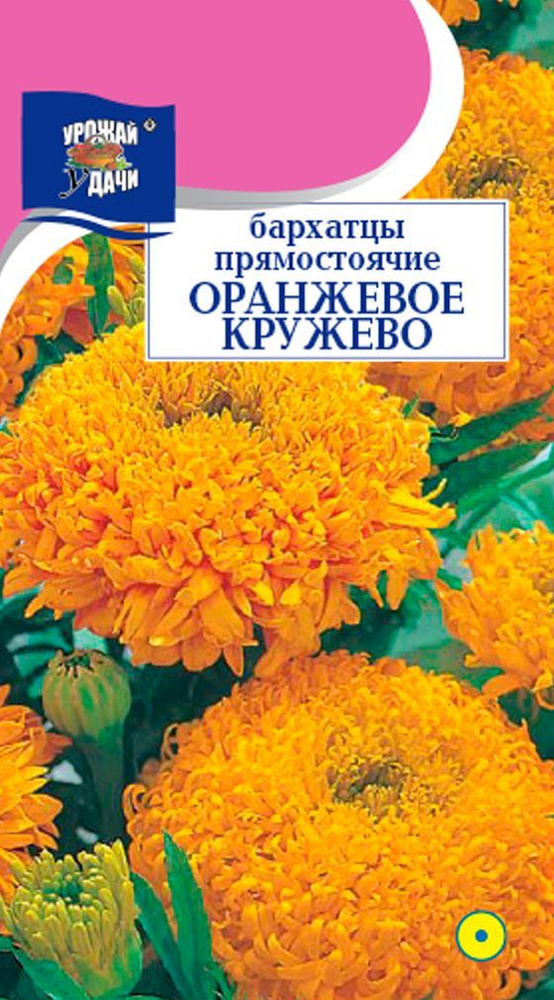 Бархатцы прямостоячие КРУЖЕВО ОРАНЖЕВОЕ махровые (Семена УРОЖАЙ УДАЧИ, 0,1 г семян в упаковке)  #1