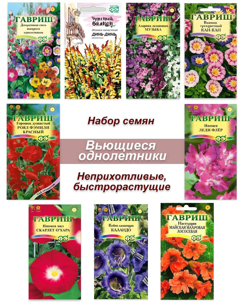Ипомея, Ипомеи Гавриш Однолетние цветы - купить по выгодным ценам в интернет-магазине OZON (235760584)